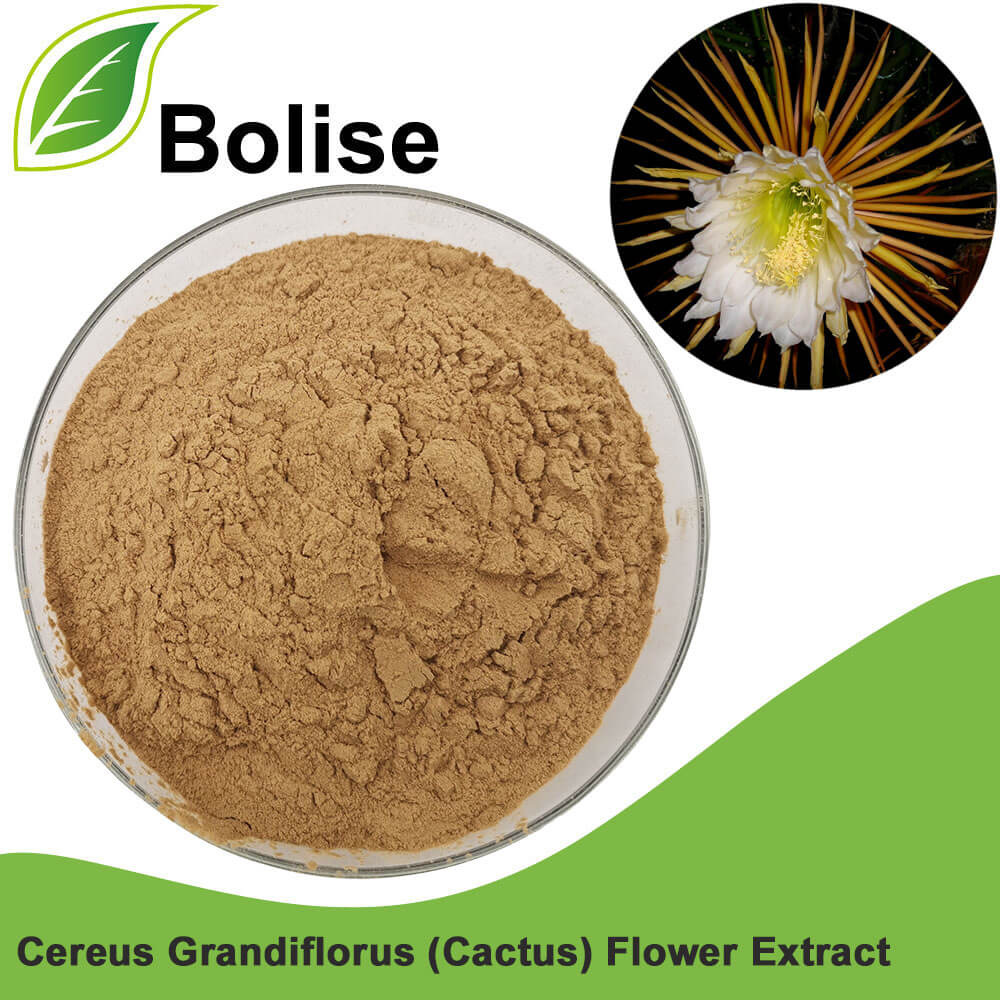 Cereus Grandiflorus (Cactus) Flower Extract