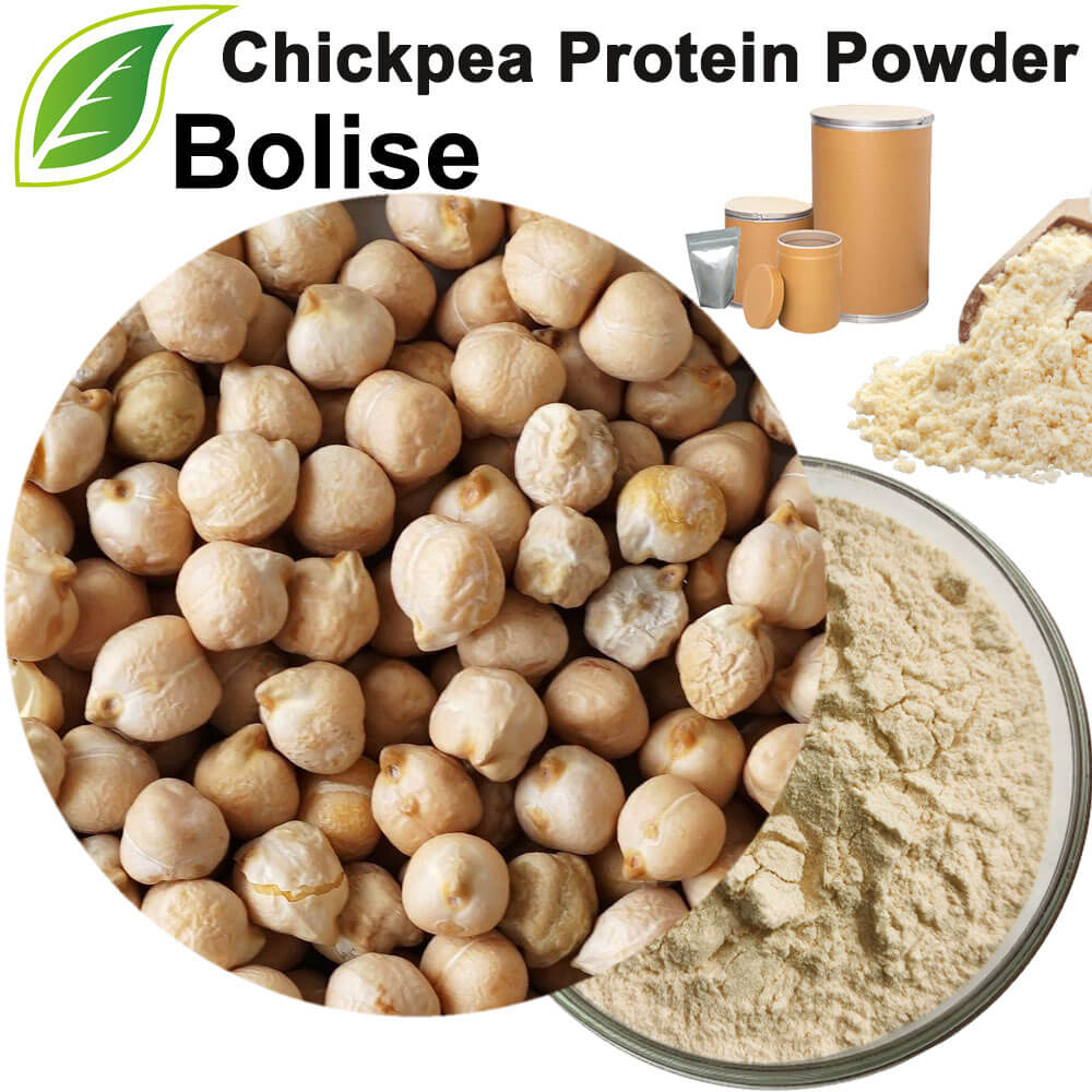 Chickpea Protein Powder
