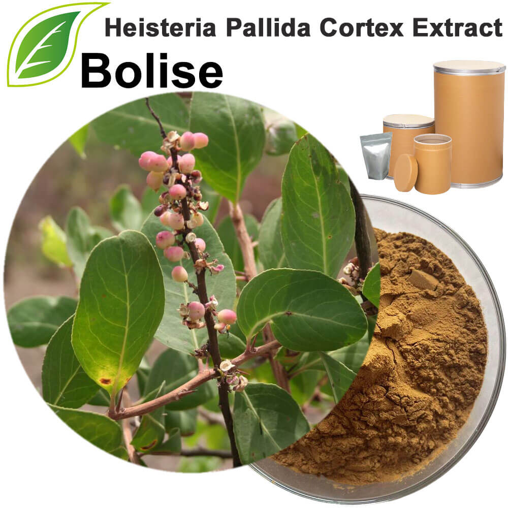 Heisteria Pallida Cortex Extract