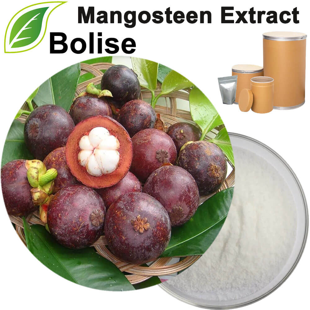 Mangosteen Extract