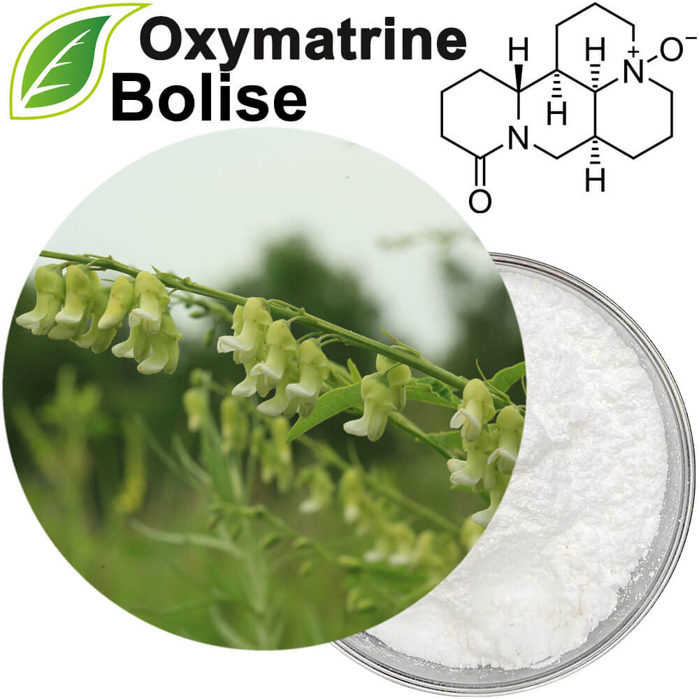 Oxymatrine