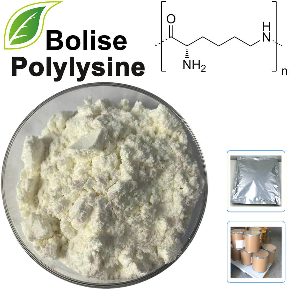 ε-polylysine