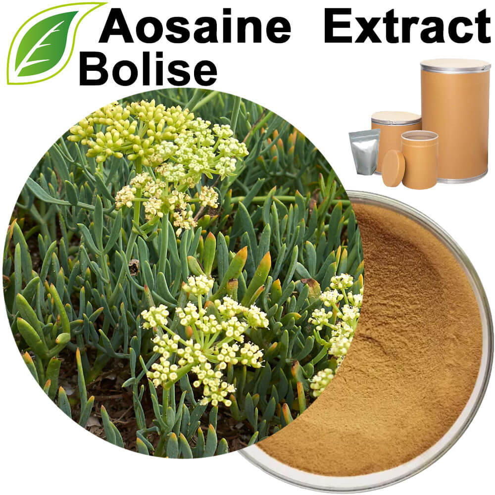 Aosaine  Extract