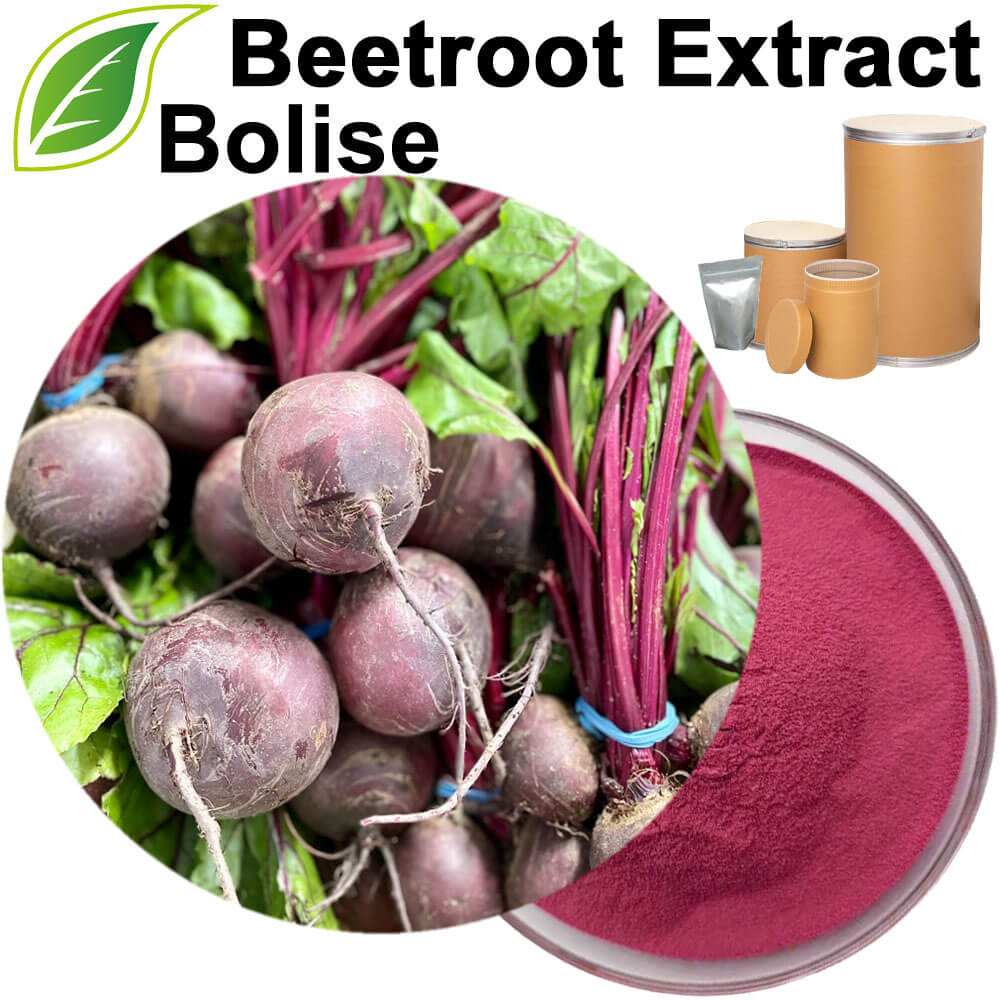 Beetroot Extract