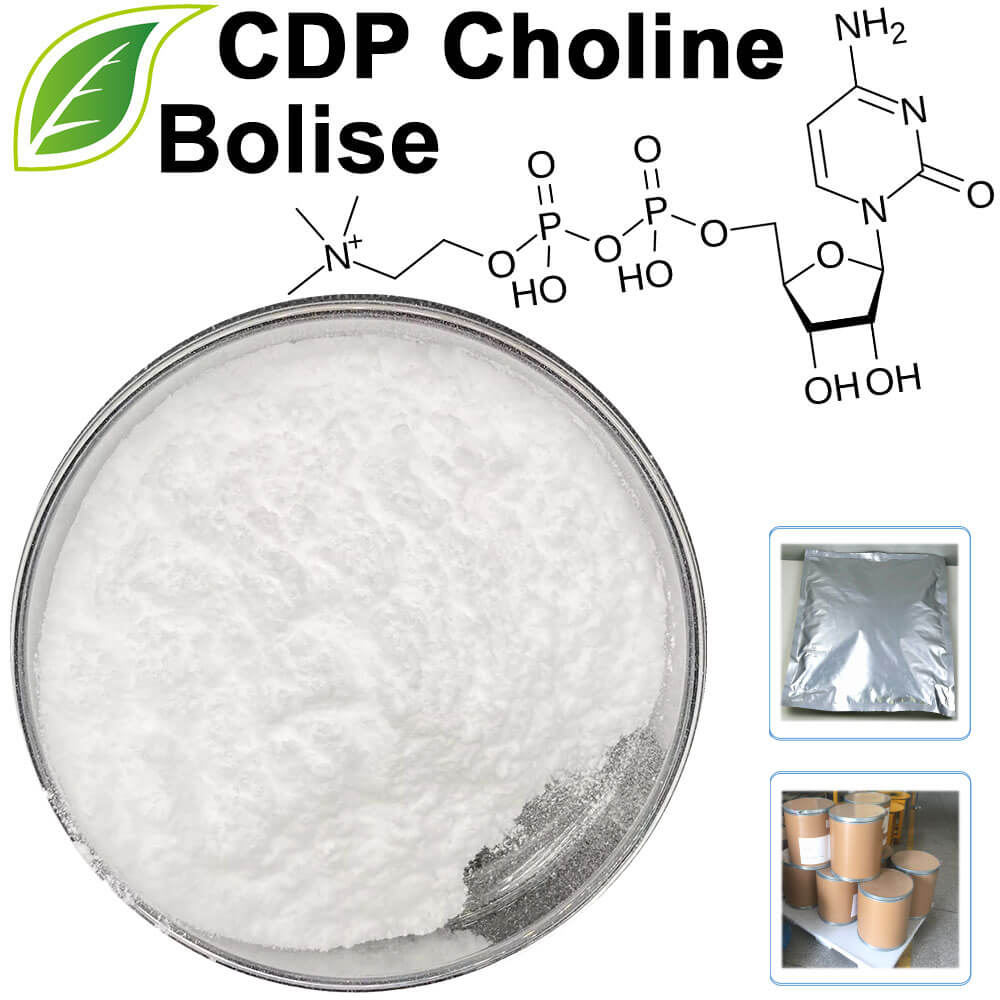 CDP Choline