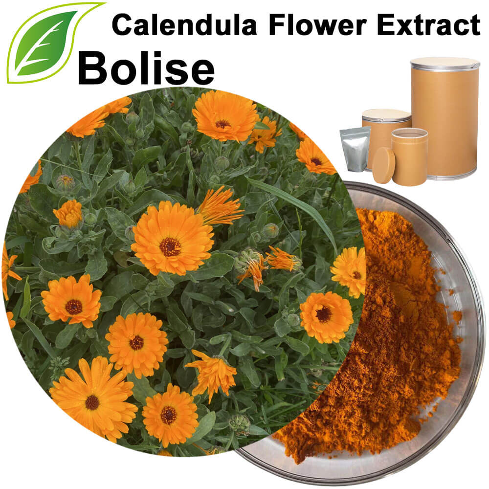 Calendula Flower Extract