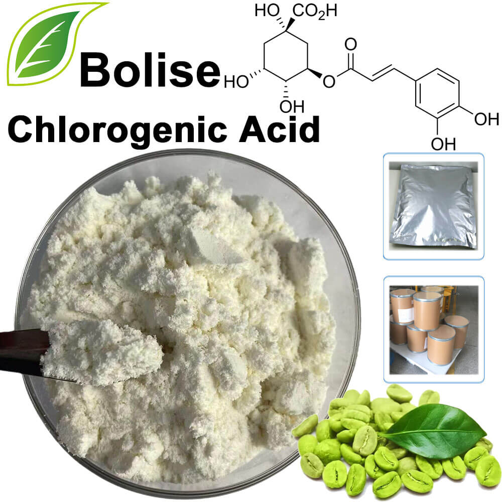 Chlorogenic Acid