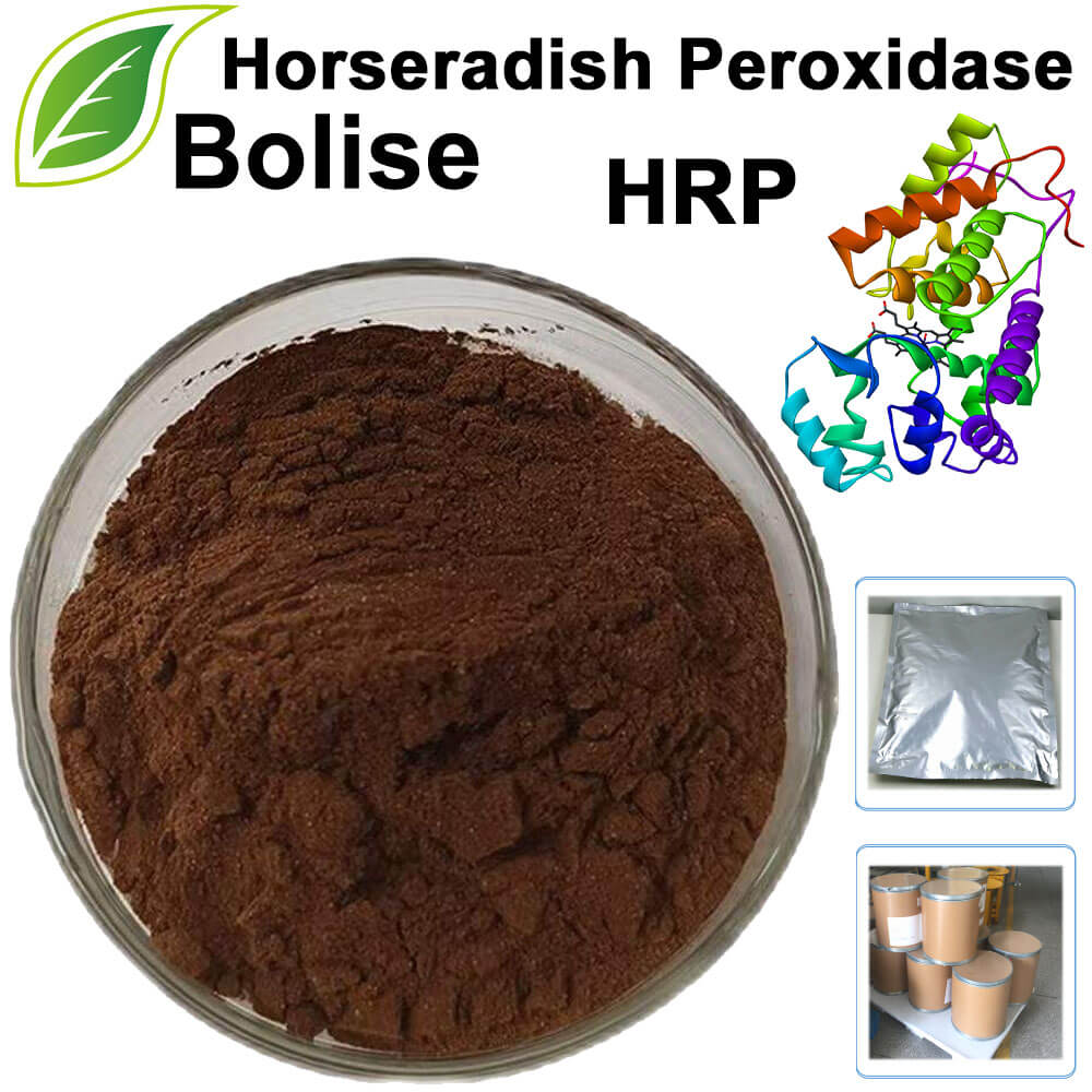 Horseradish Peroxidase (HRP)