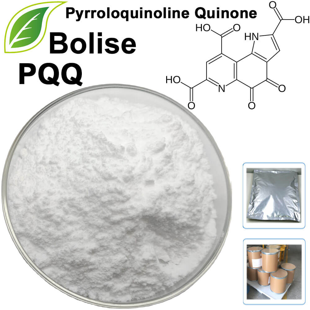 Pyrroloquinoline Quinone (PQQ)