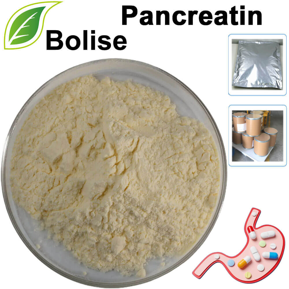 Pancreatin
