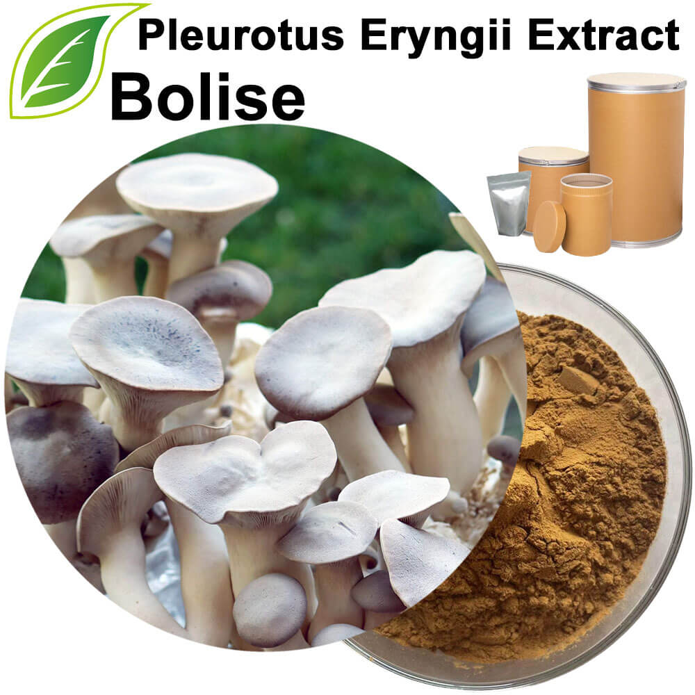 Pleurotus Eryngii Extract