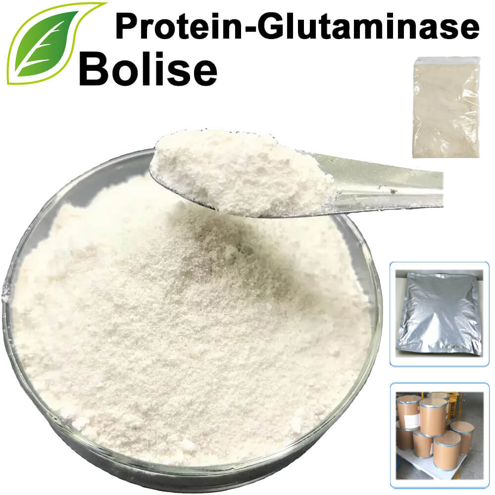 Protein-Glutaminase