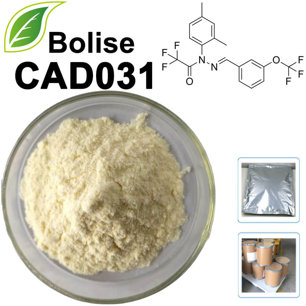 CAD031