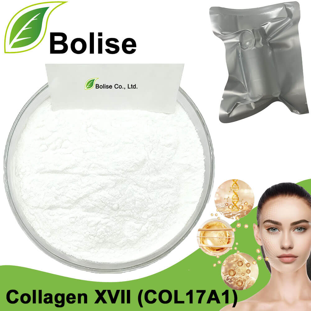 Collagen XVII