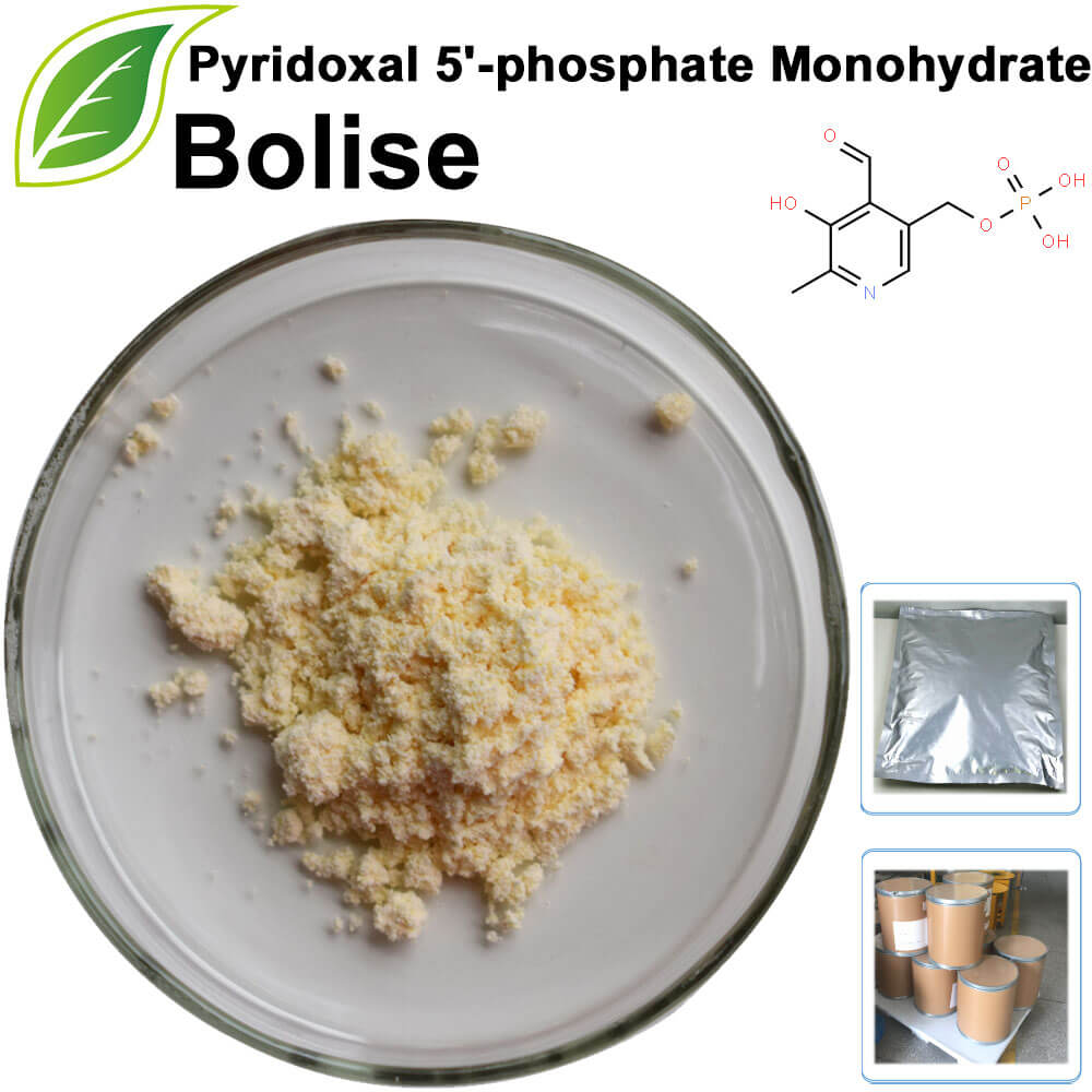 Pyridoxal 5'-phosphate Monohydrate