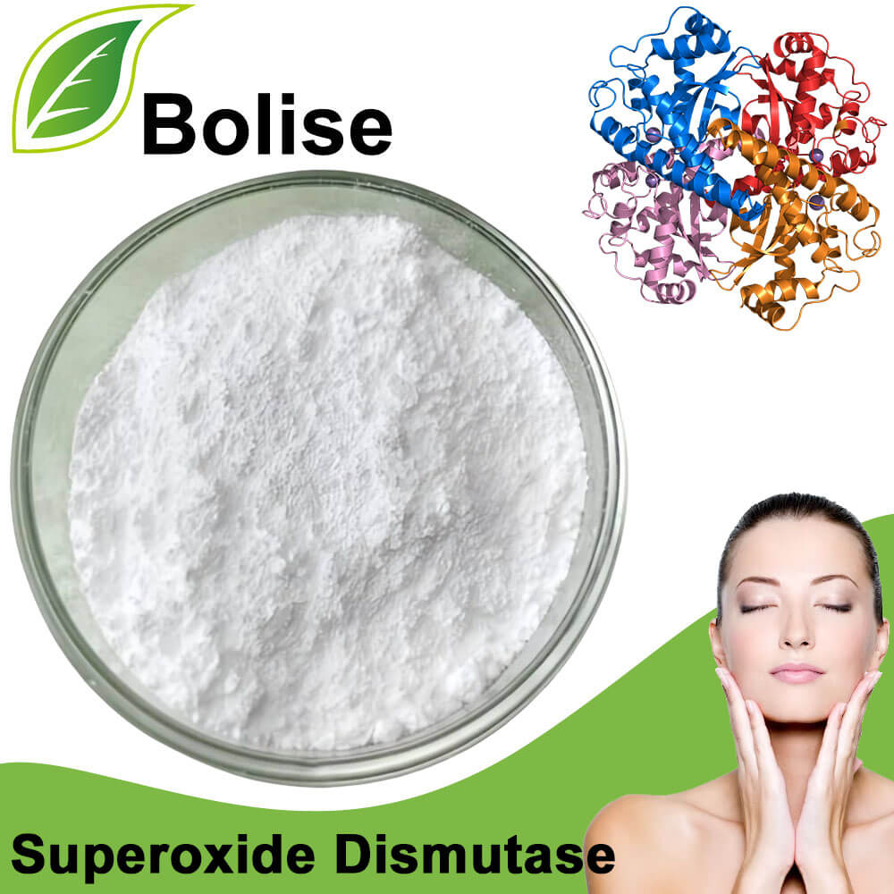 Superoxide Dismutase