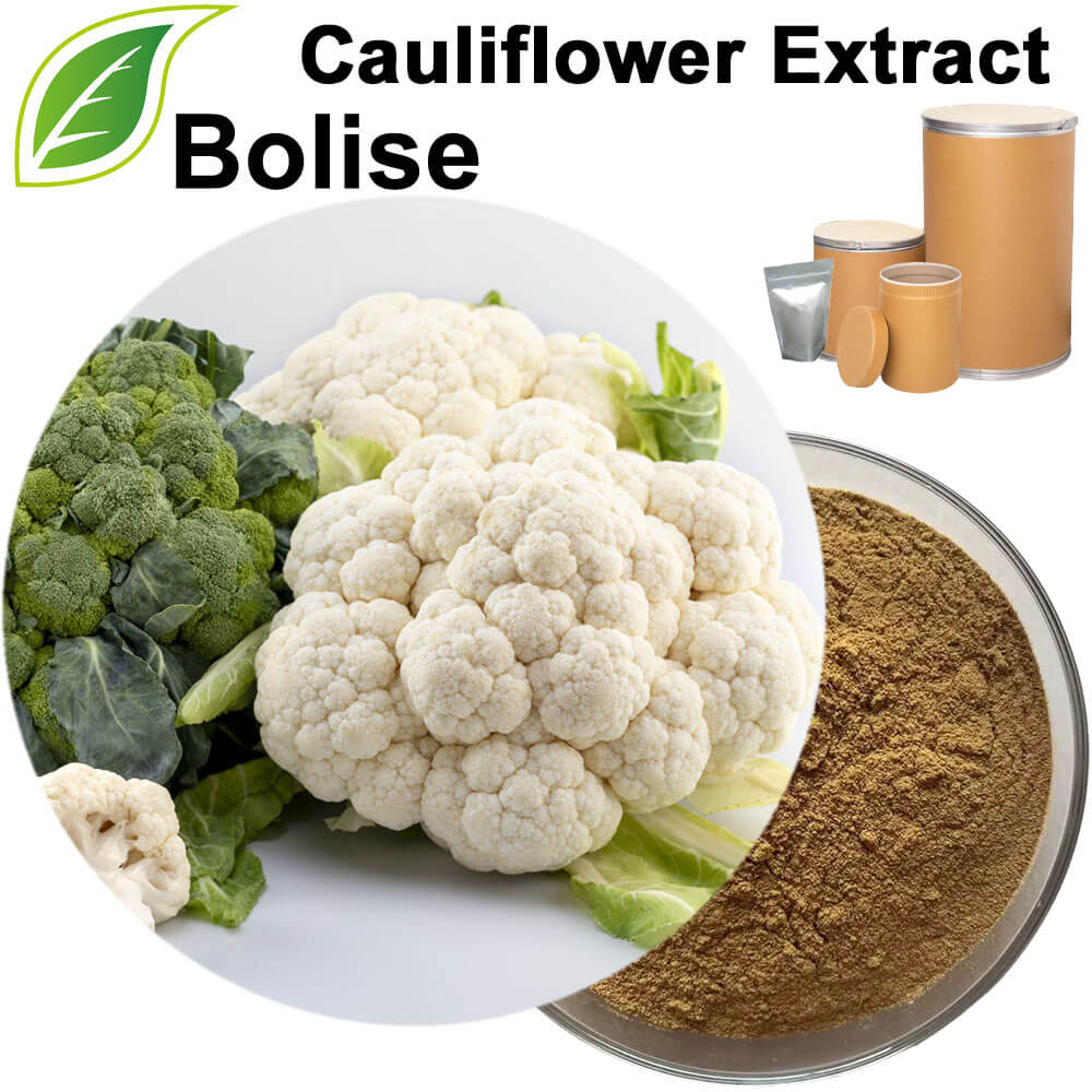 Brassica Oleracea Botrytis (Cauliflower) Extract