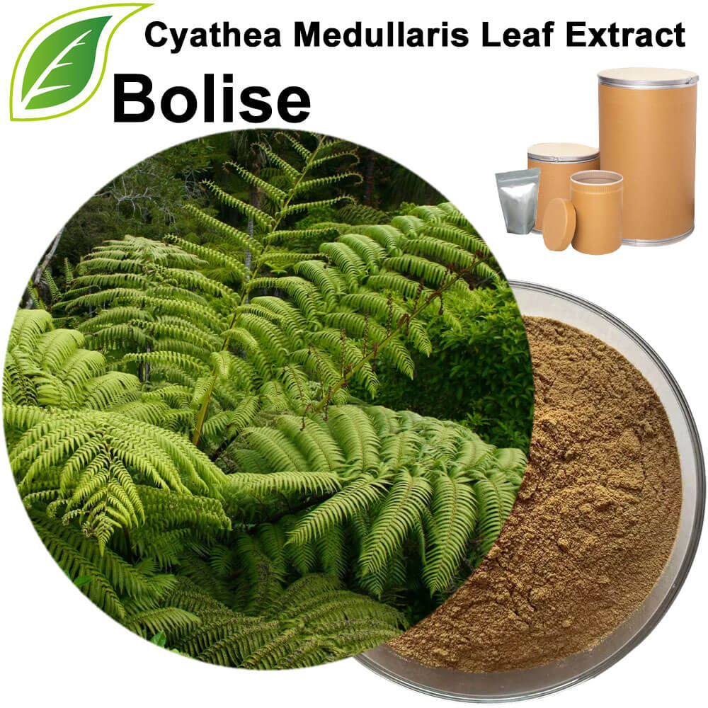 Cyathea Medullaris Leaf Extract