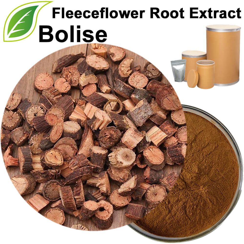 Fleeceflower Root Extract