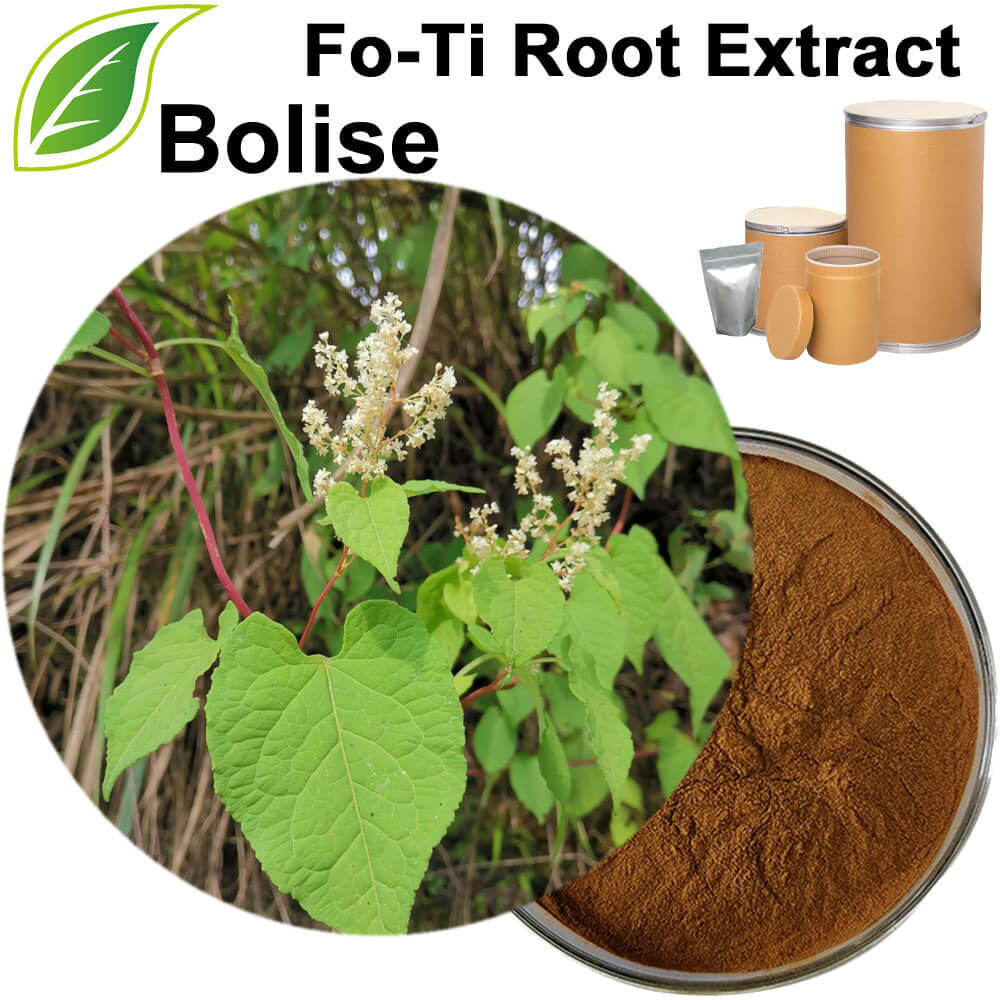 Fo-Ti Root Extract