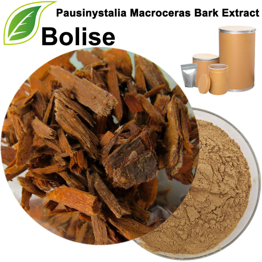 Pausinystalia Macroceras Bark Extract