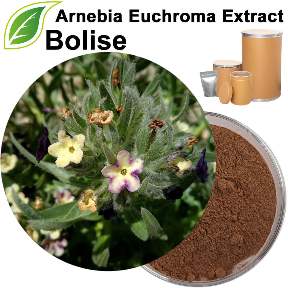 Arnebia Euchroma Extract