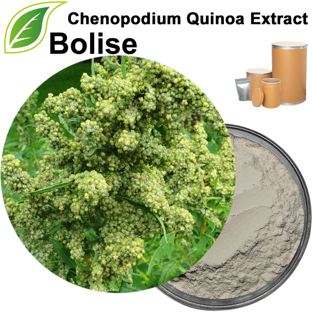 Chenopodium Quinoa Extract