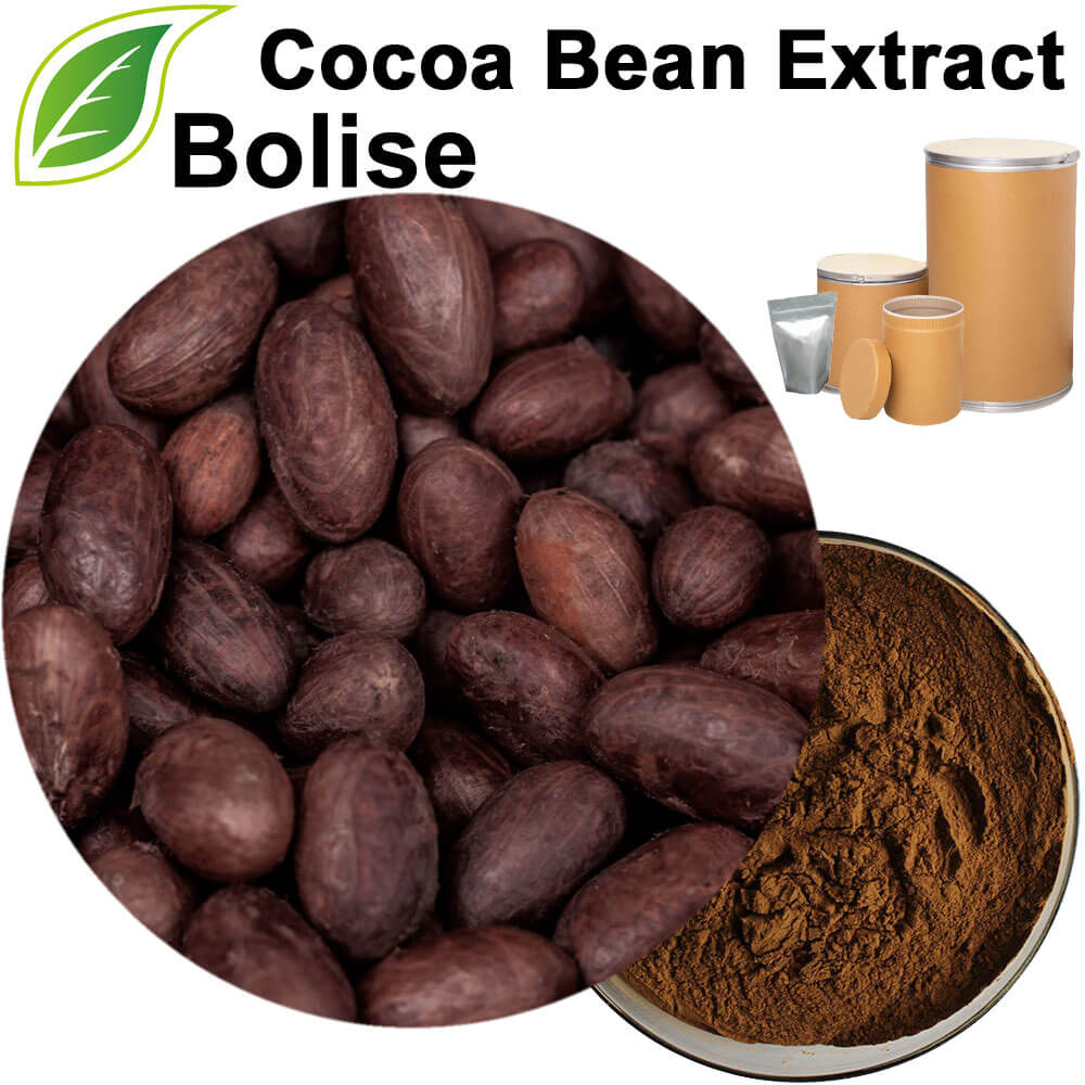 Cocoa Bean Extract