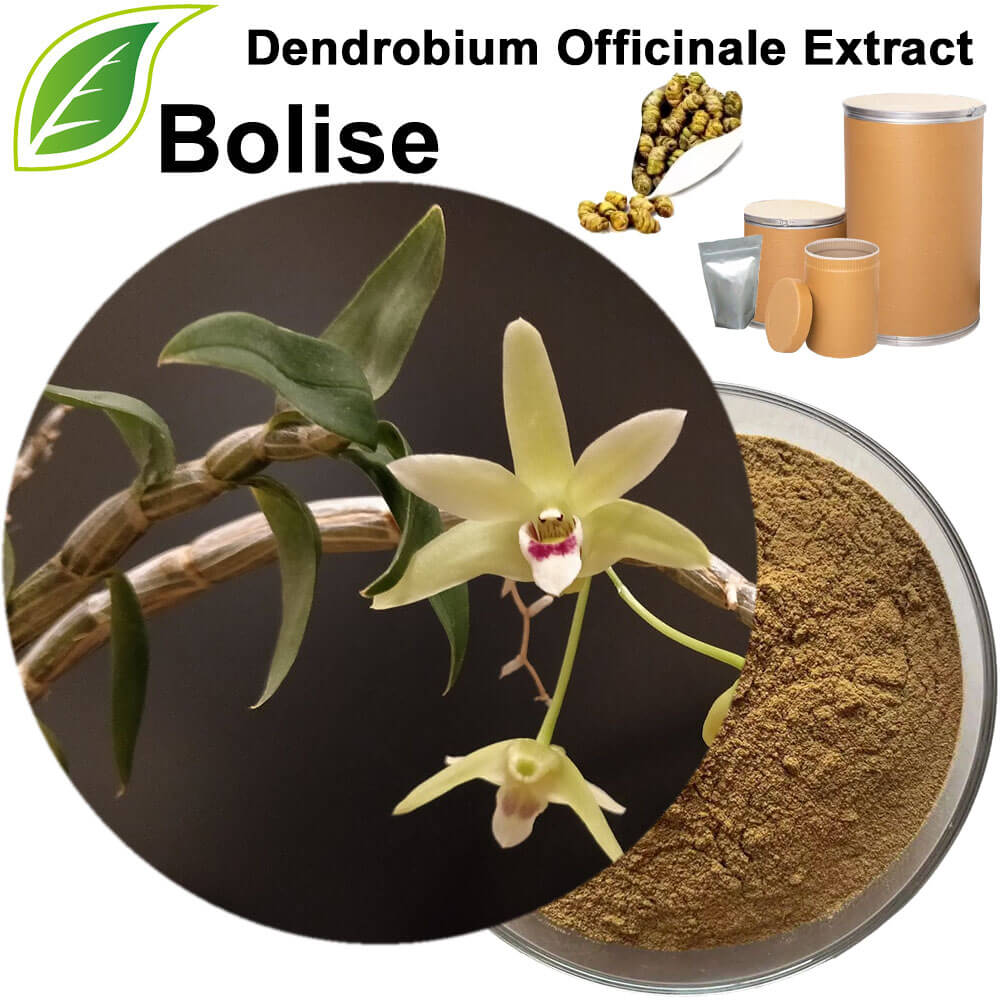 Dendrobium Officinale Extract