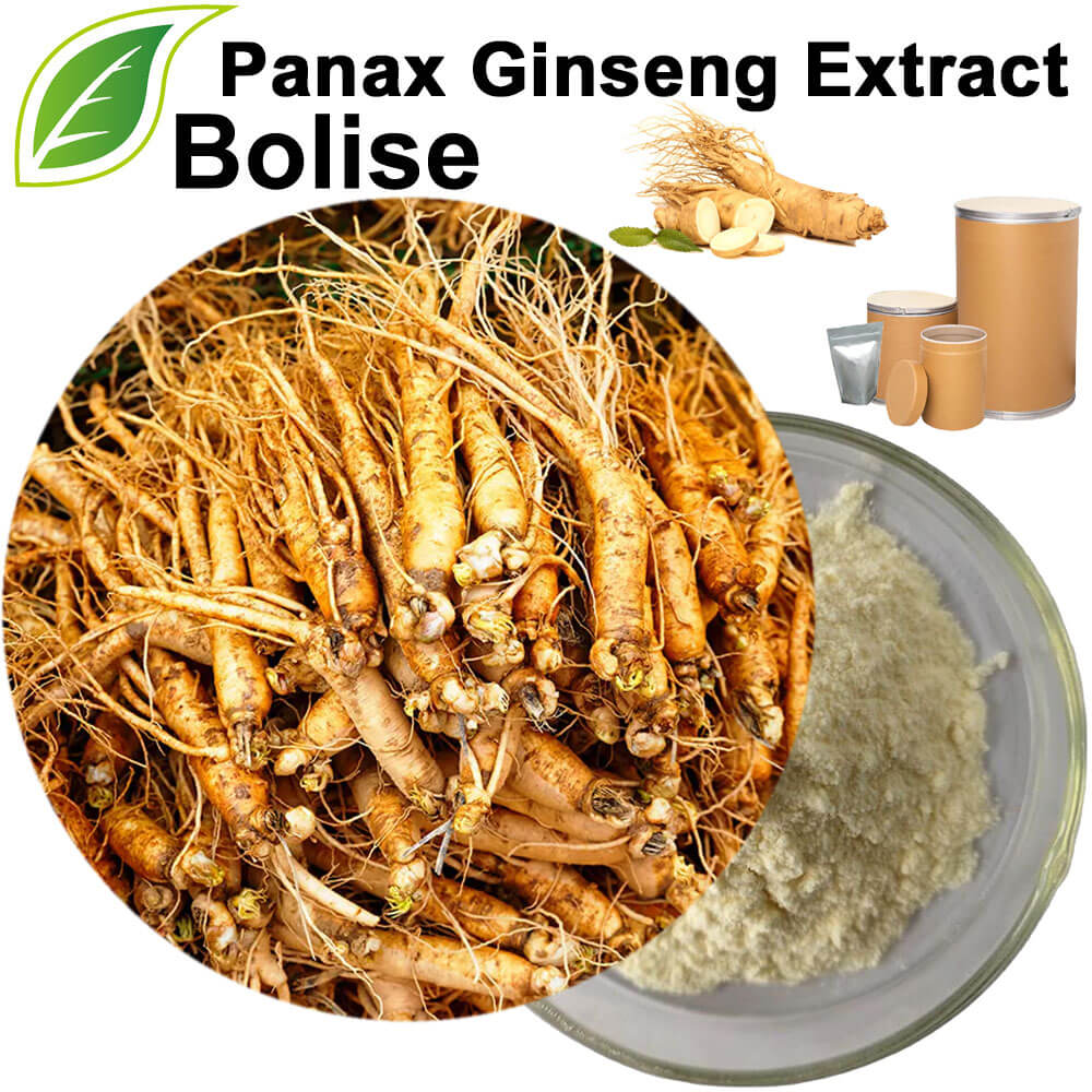 Panax Ginseng Extract