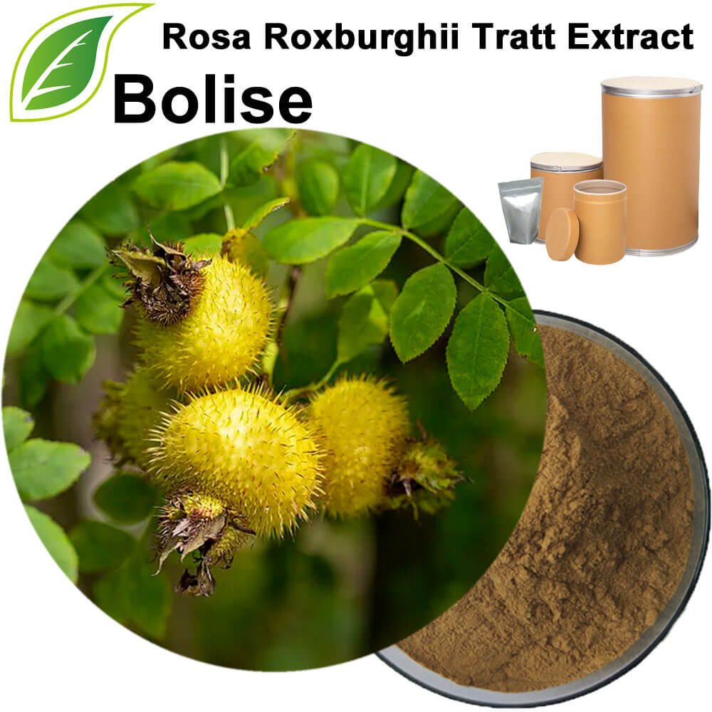 Rosa Roxburghii Tratt Extract