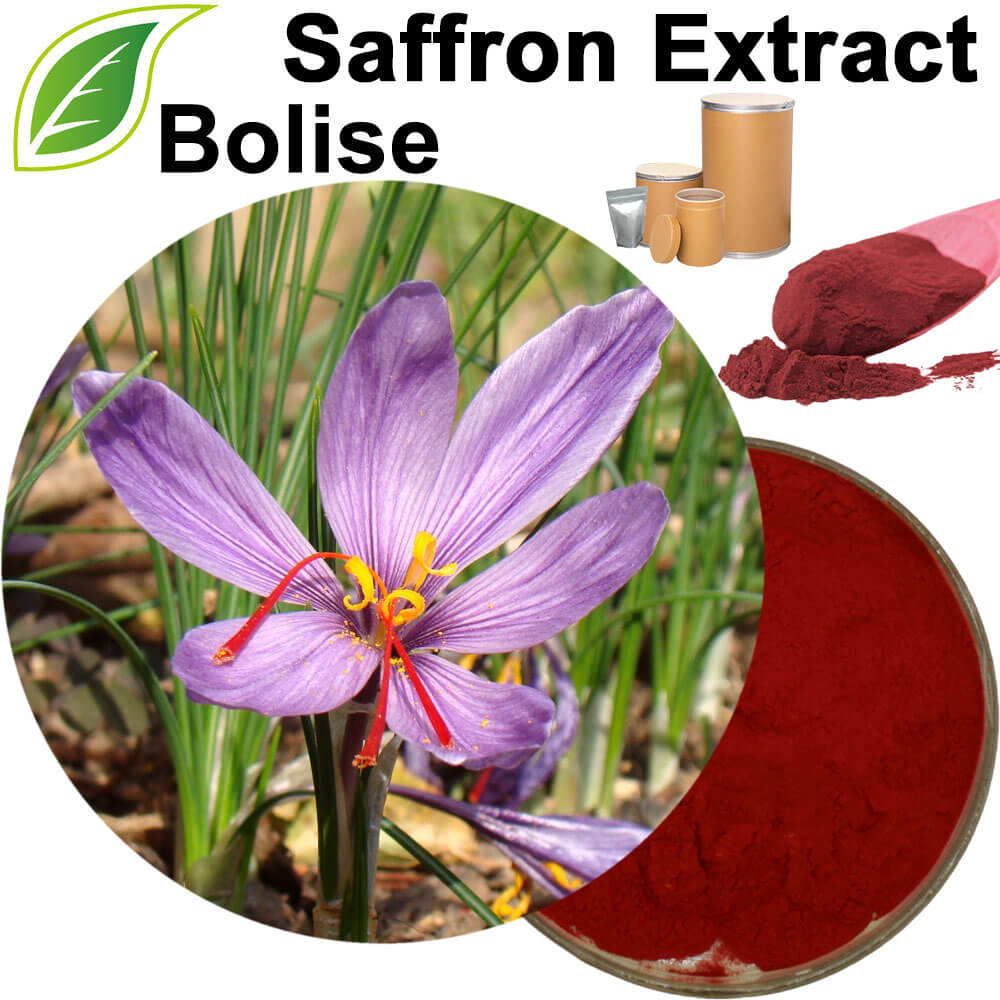 Saffron Extract
