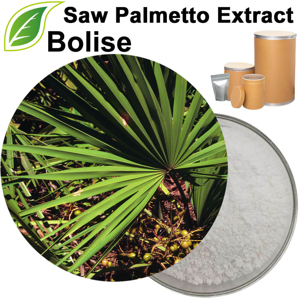 Saw Palmetto Extract