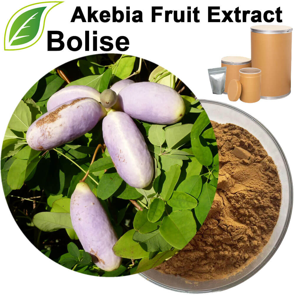 Akebia Fruit Extract(Fructus Akebiae Extract)