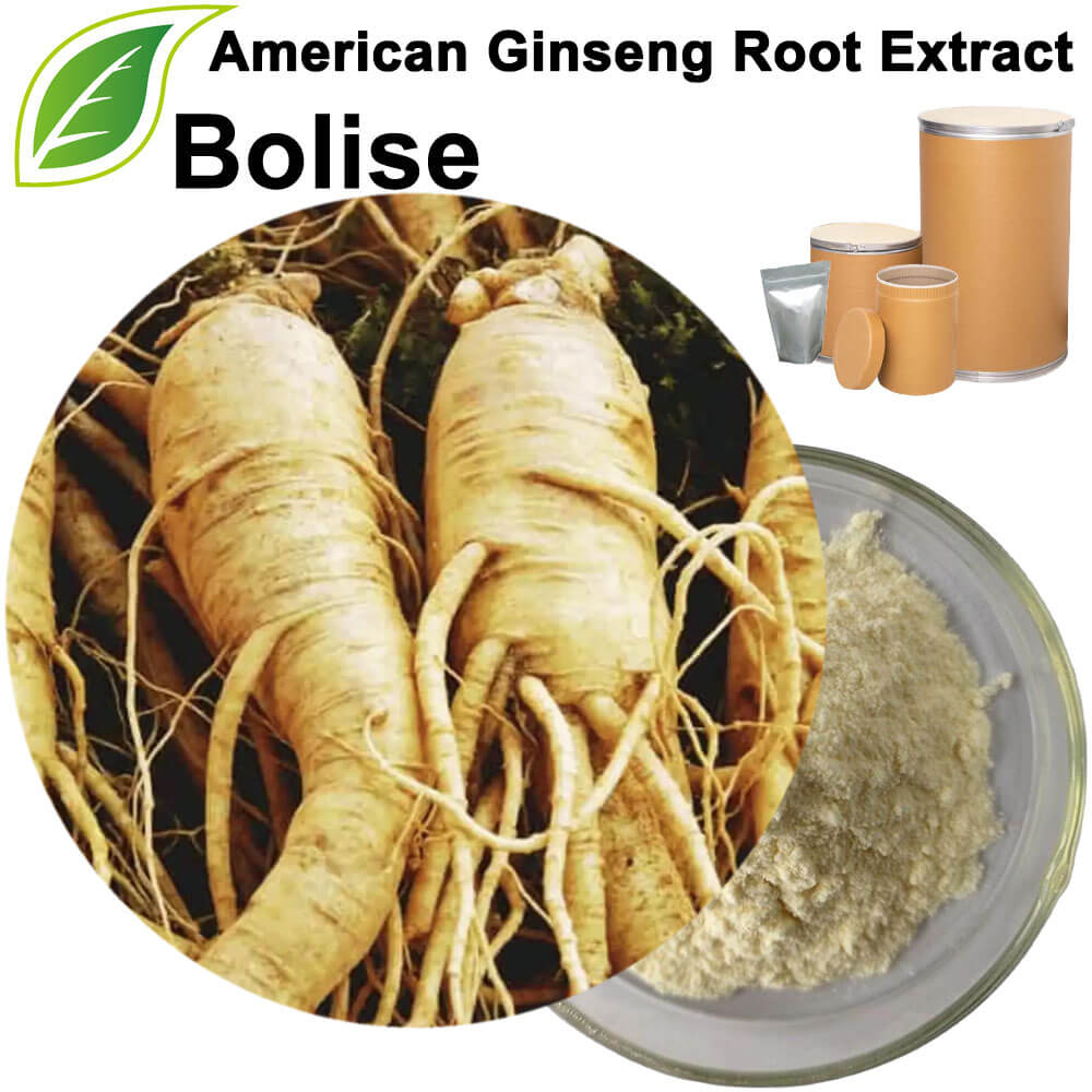 American Ginseng Root Extract