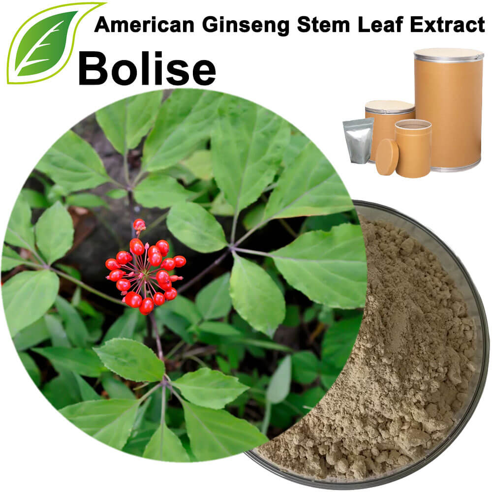 American Ginseng Stem Leaf Extract(80%)