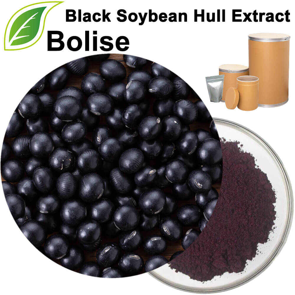 Black Soybean Hull Extract Powder