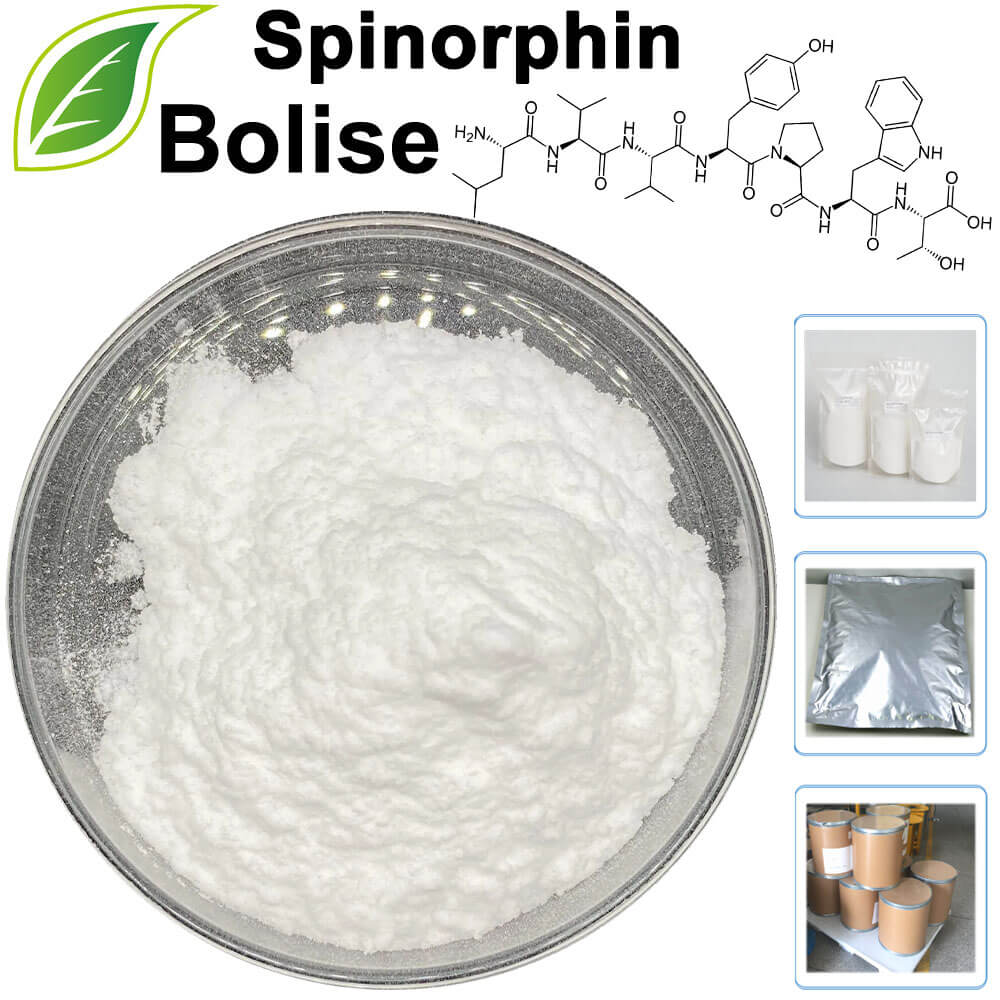 Spinorphin