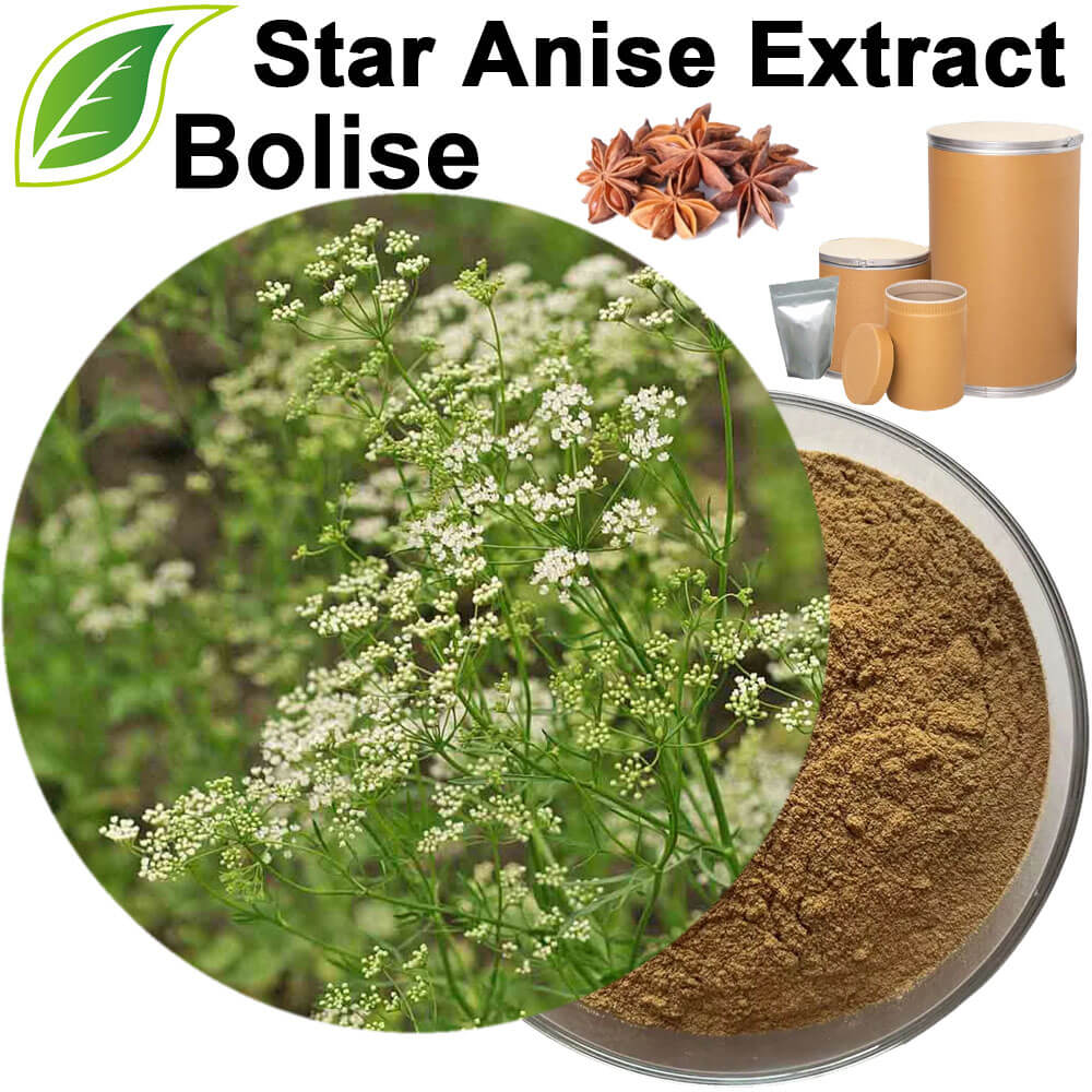 Star Anise Extract