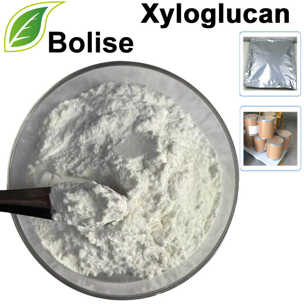 Xyloglucan