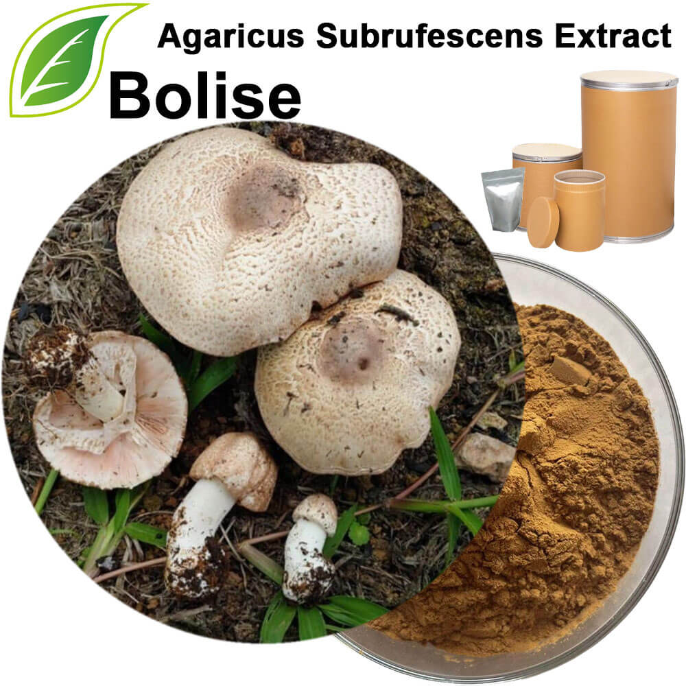 Agaricus Subrufescens Extract