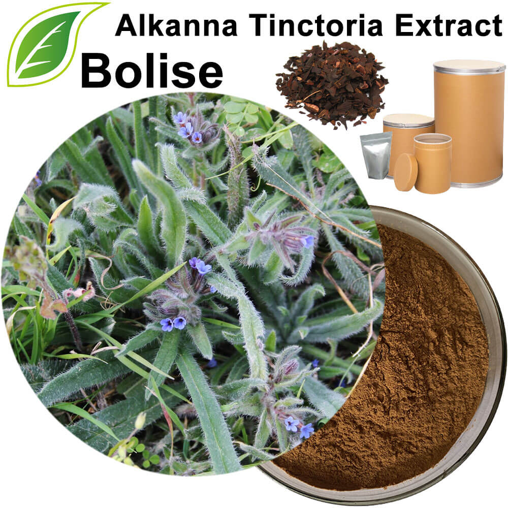Alkanna Tinctoria Extract