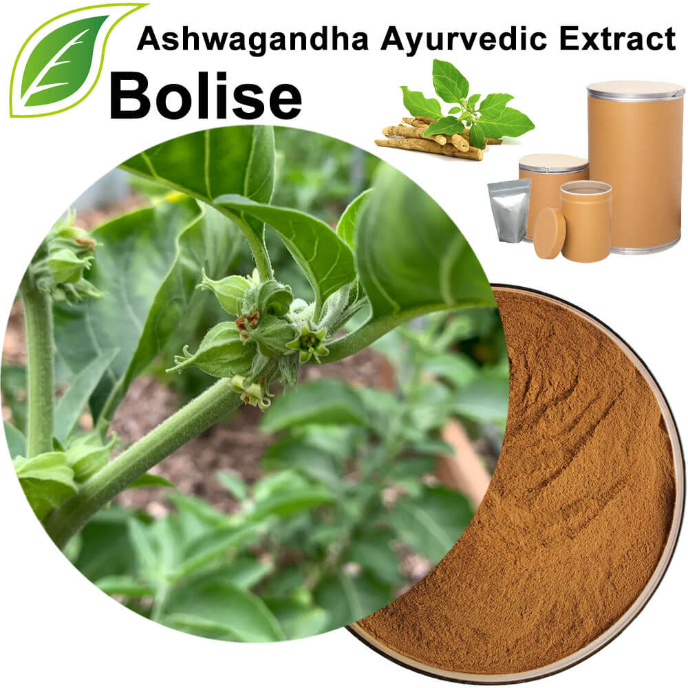 Ashwagandha Ayurvedic Extract