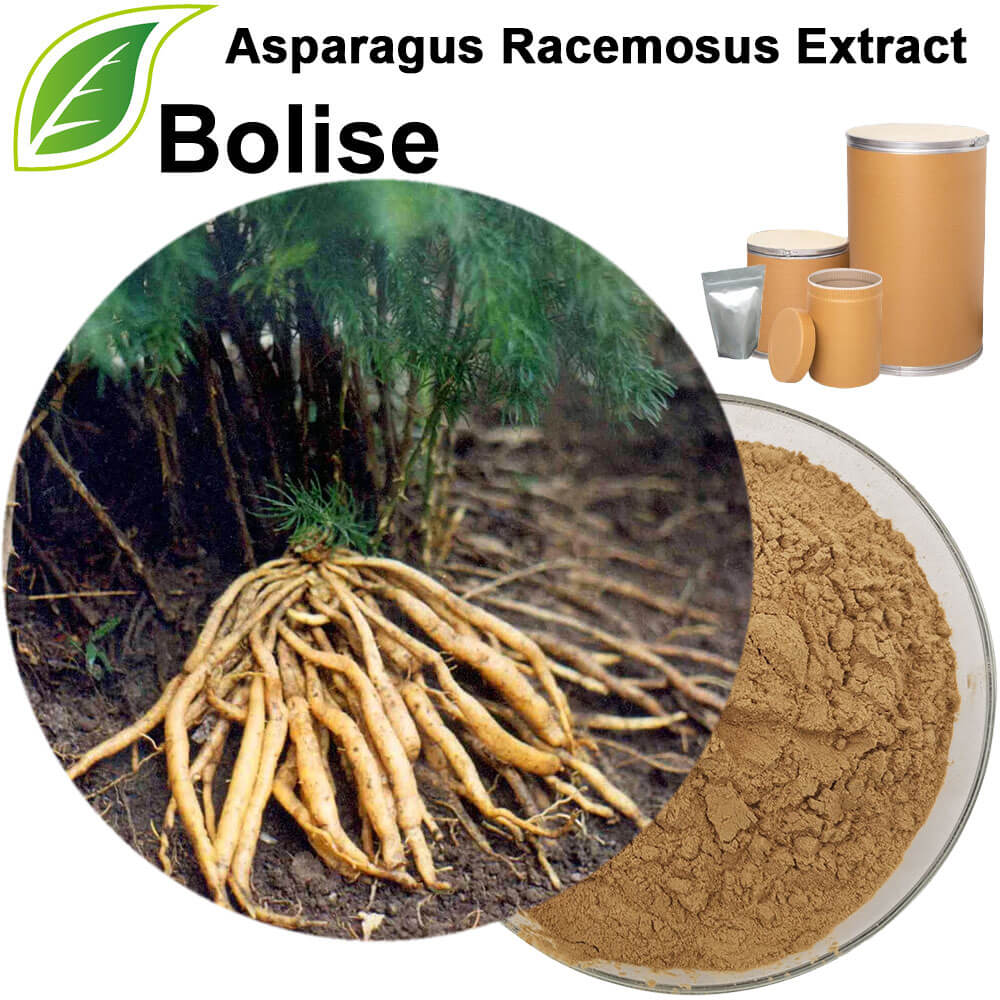 Asparagus Racemosus Extract