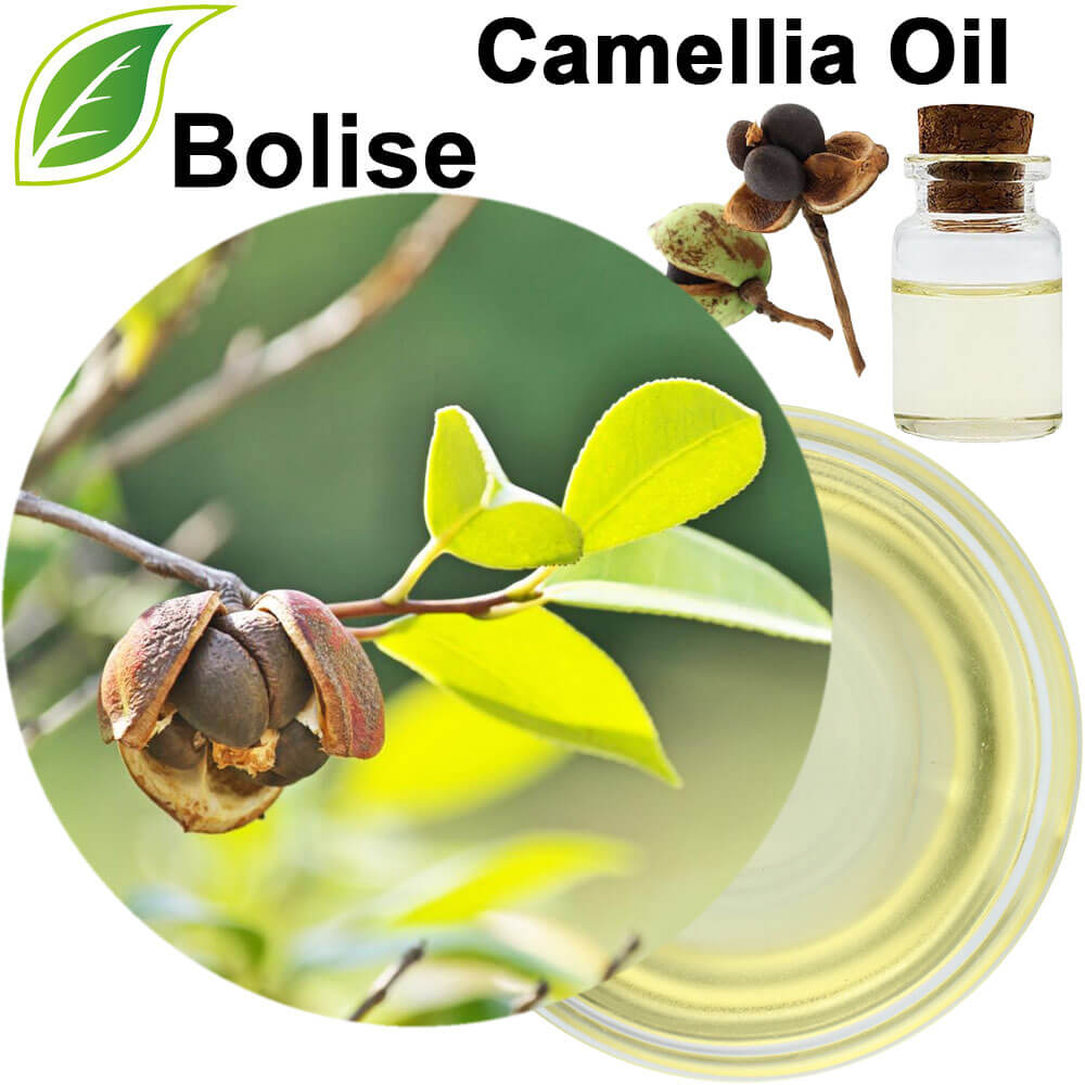 Camellia Oil