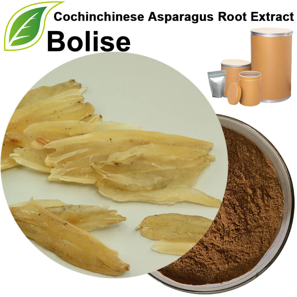 Asparagosides Root Extraxt(Cochinchinese Asparagus Root Extract)