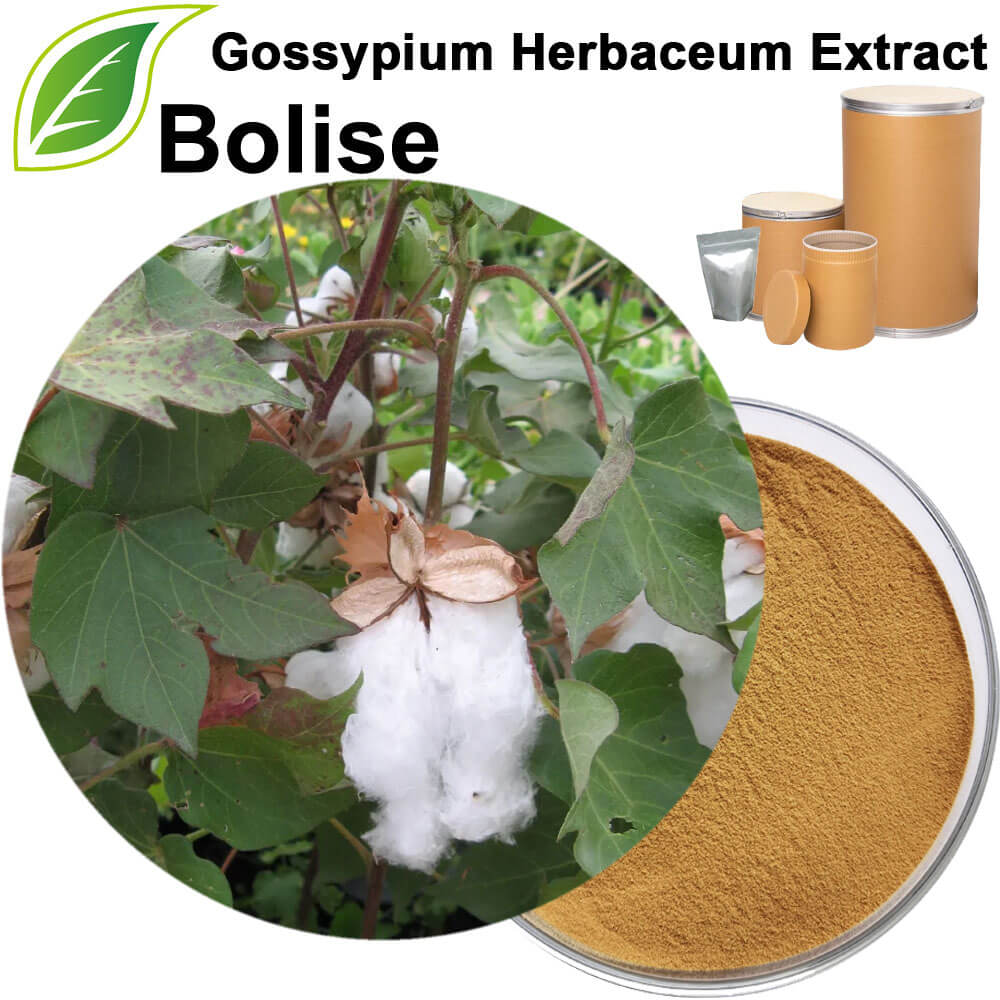 Gossypium Herbaceum Extract
