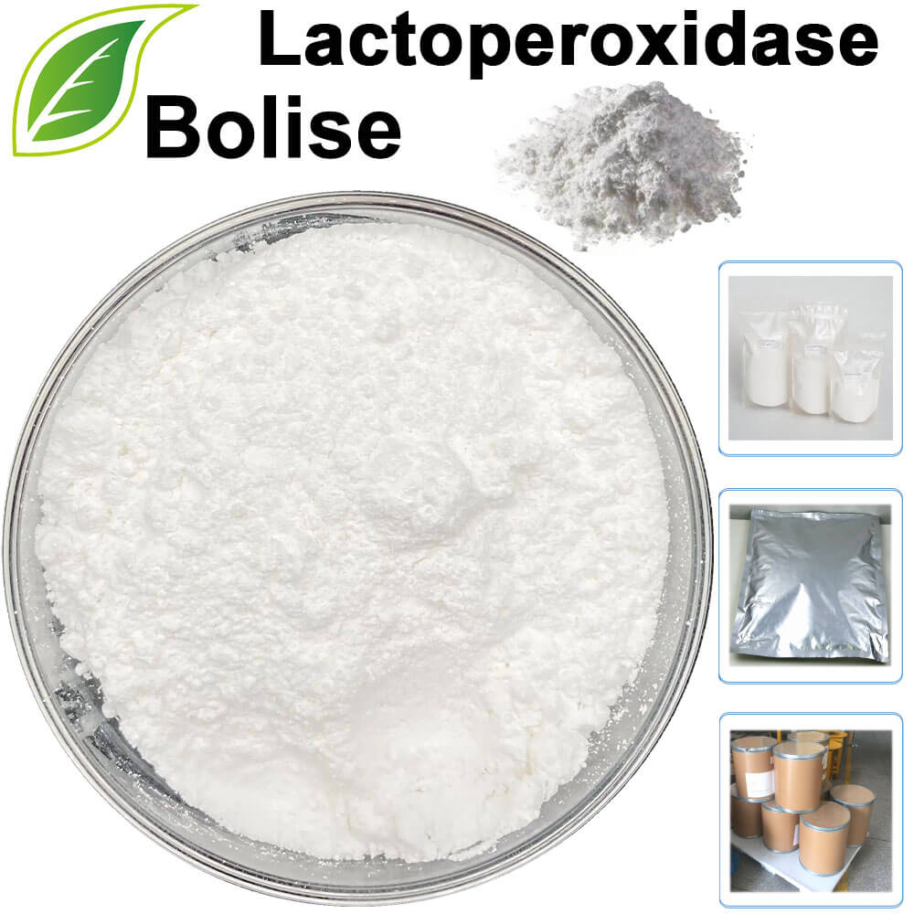 Lactoperoxidase‌