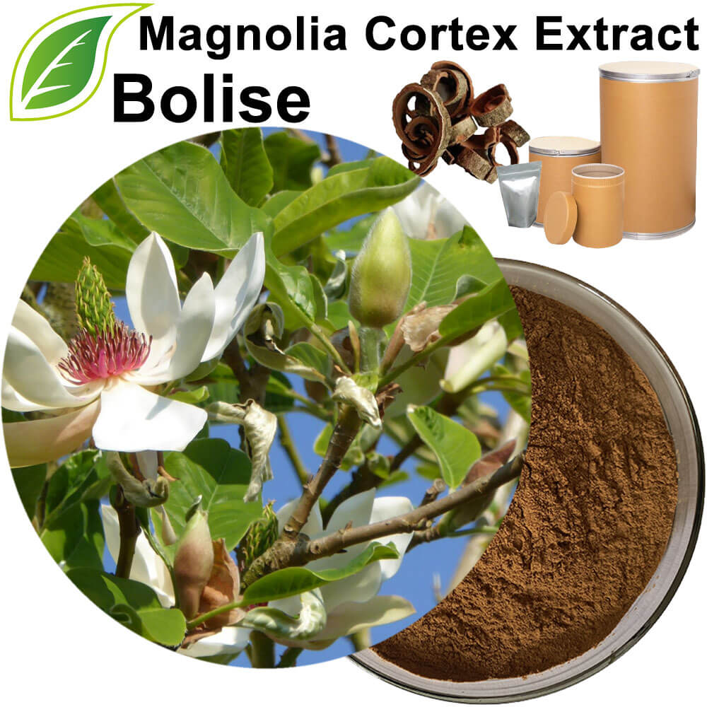 Magnolia Cortex Extract