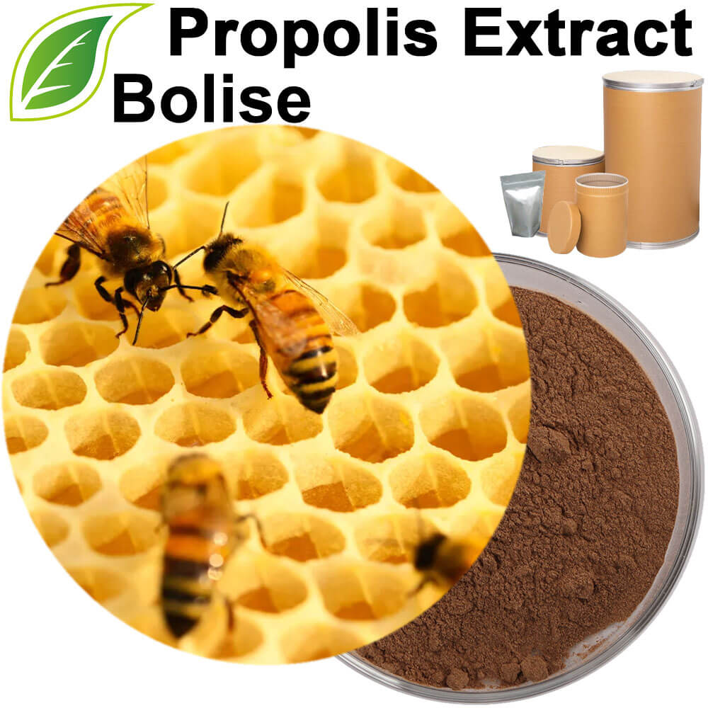 Propolis Extract